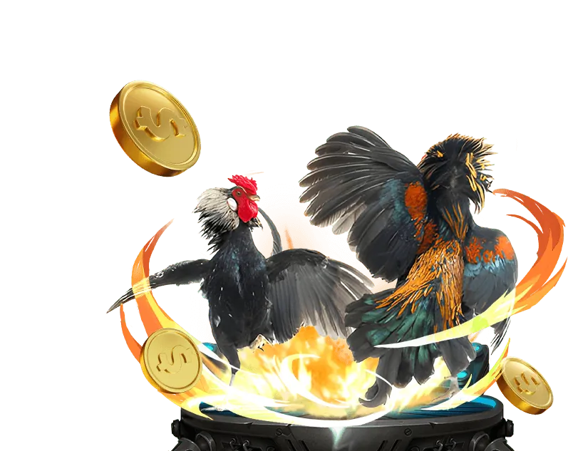 Tổng quan về đá gà trực tuyến sc88 vn6